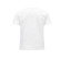 MAN REGULAR T-SHIRT