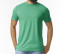 SOFTSTYLE CVC ADULT T-SHIRT
